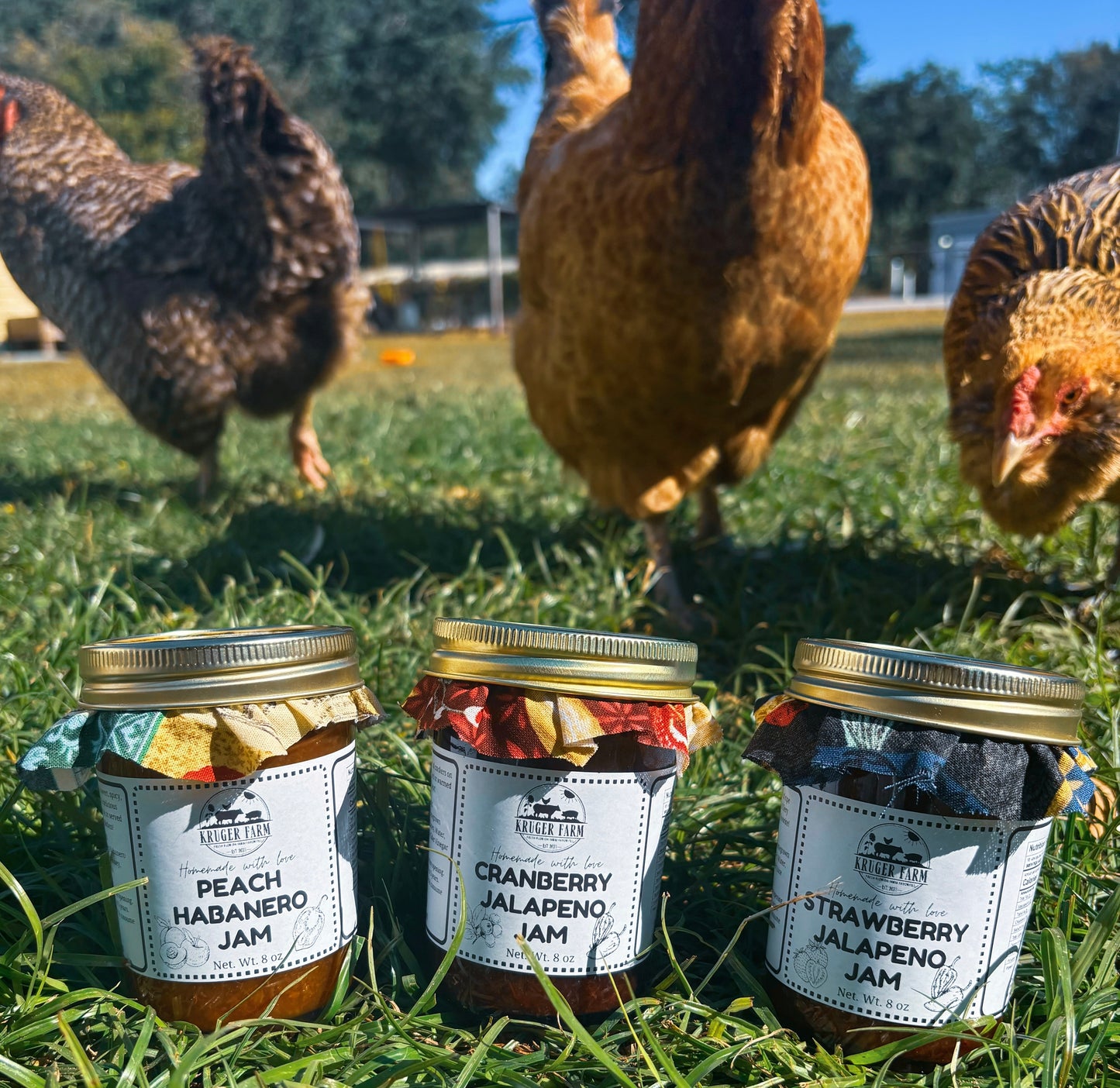 Cranberry Jalapeno Jam (8 oz)