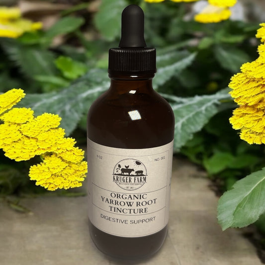Digestive Support | Organic Yarrow Tincture