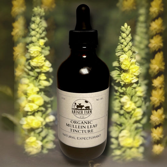 Natural Expectorant | Organic Mullein Leaf Tincture (4 oz)